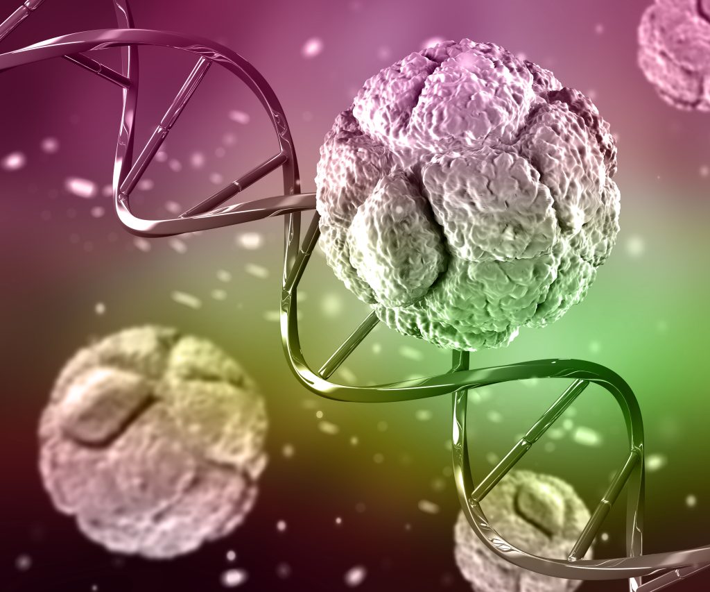 stem cell