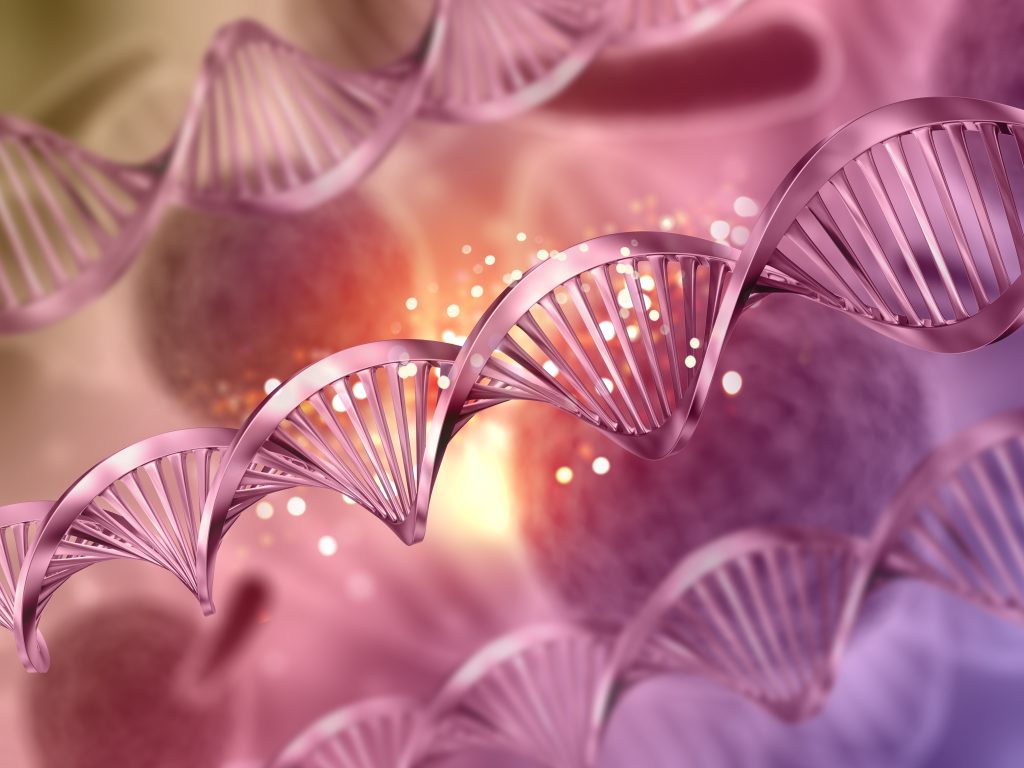 stem cell