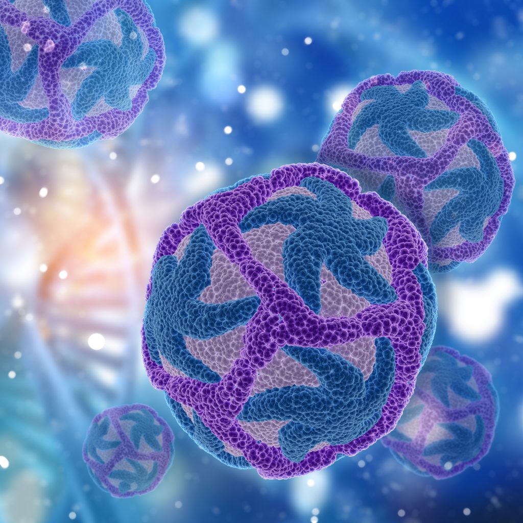 what is hematopoiesis