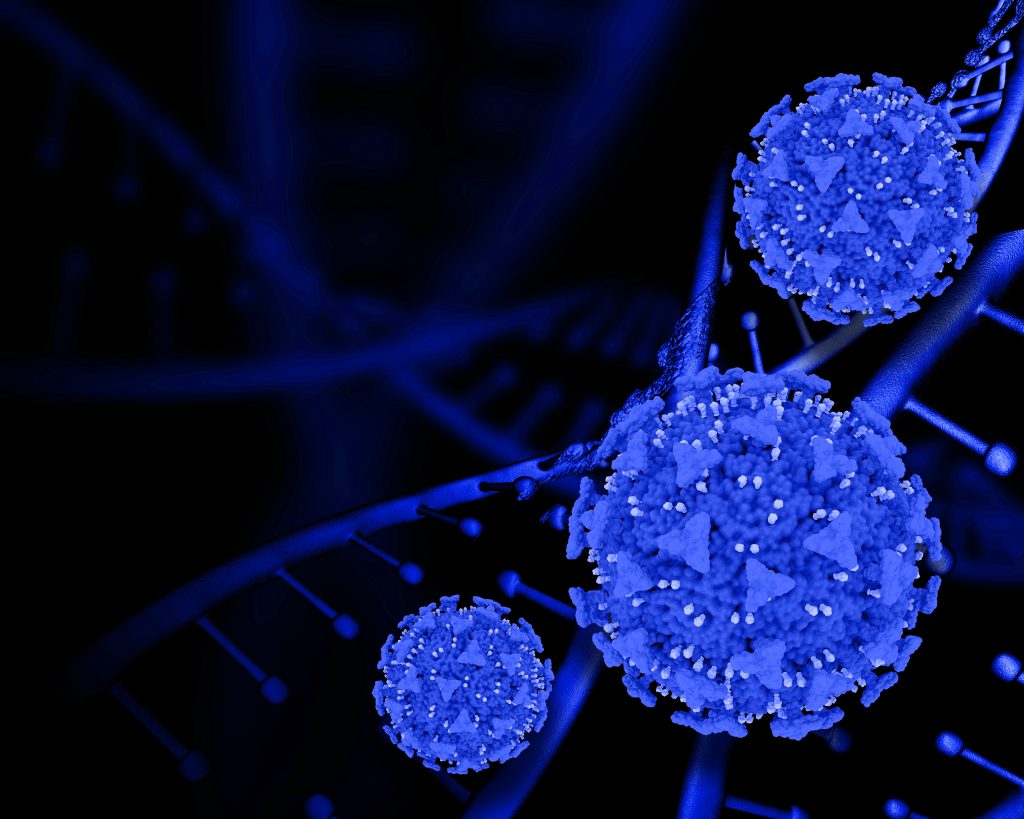 stem cell