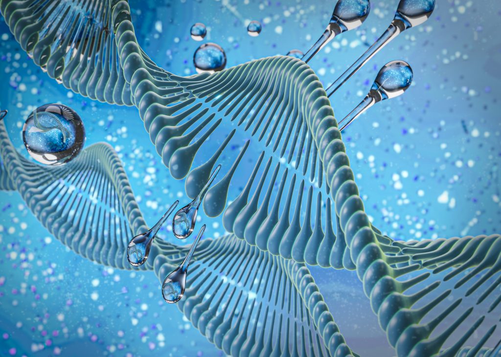 stem cell therapy help knee pain