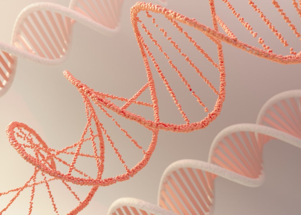 are adult stem cells rare