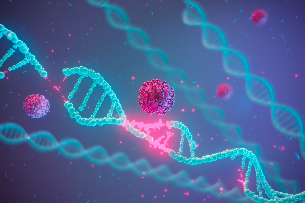 Herbs that increase stem cells