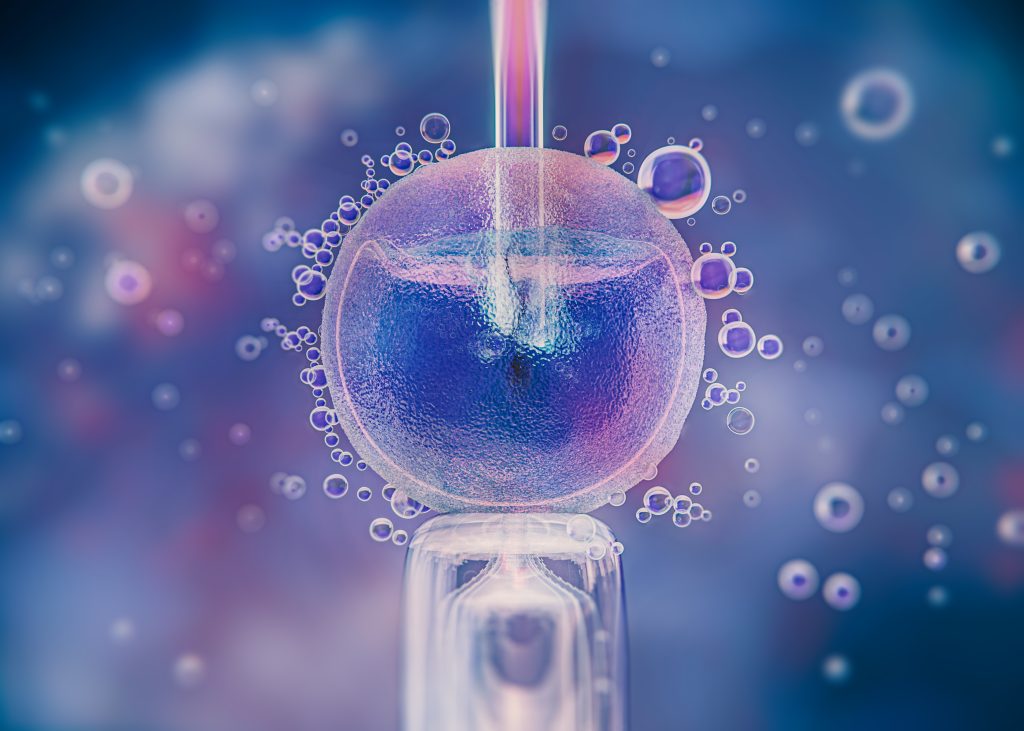 stem cells