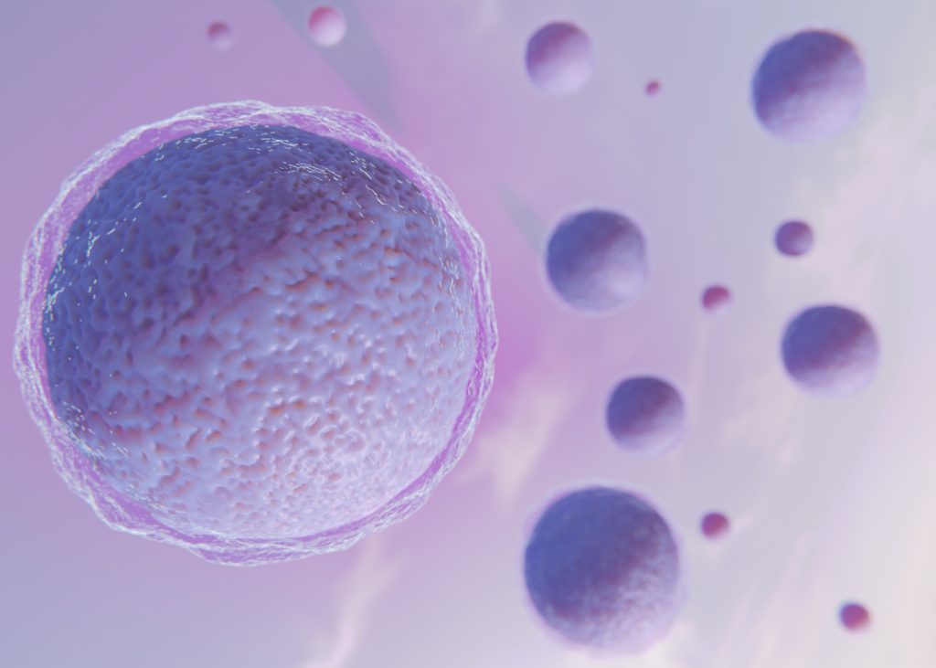  Stem Cells