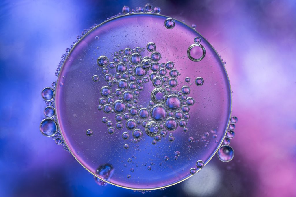 what does hematopoietic mean