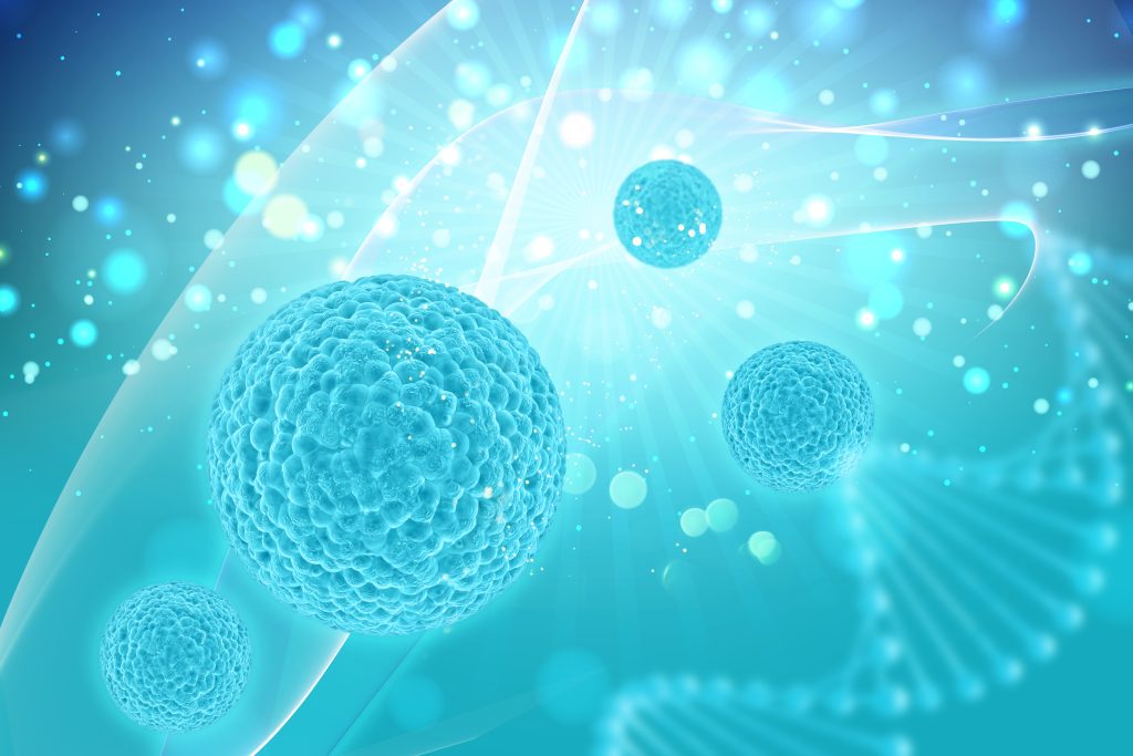stem cell