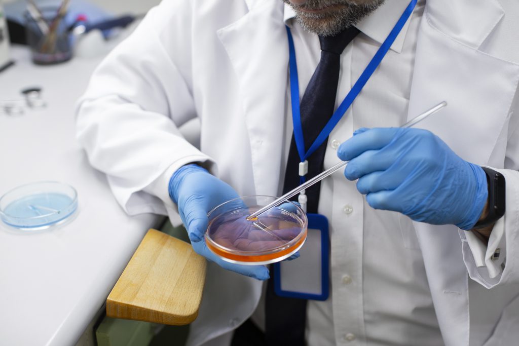 stem cell
