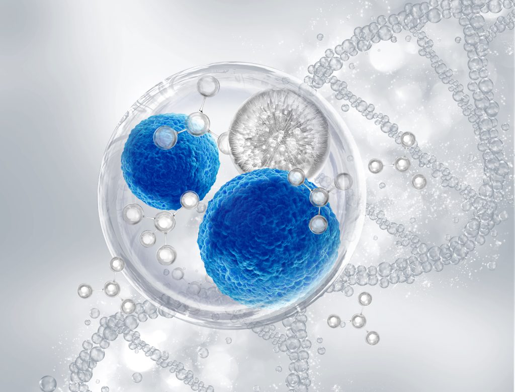stem cell