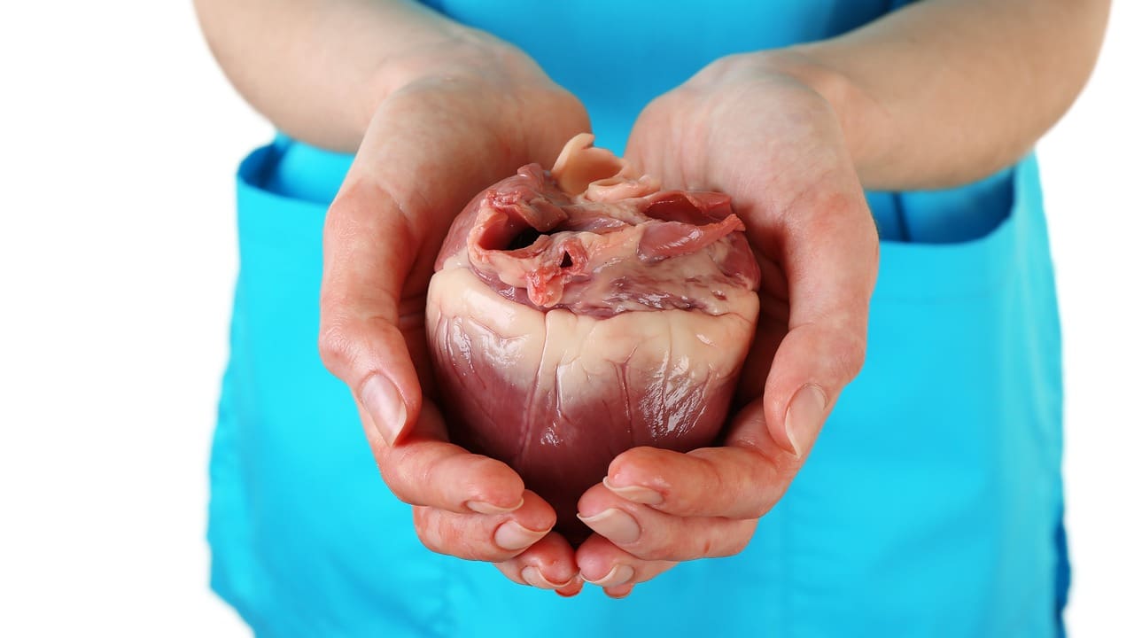 Organ Transplantation