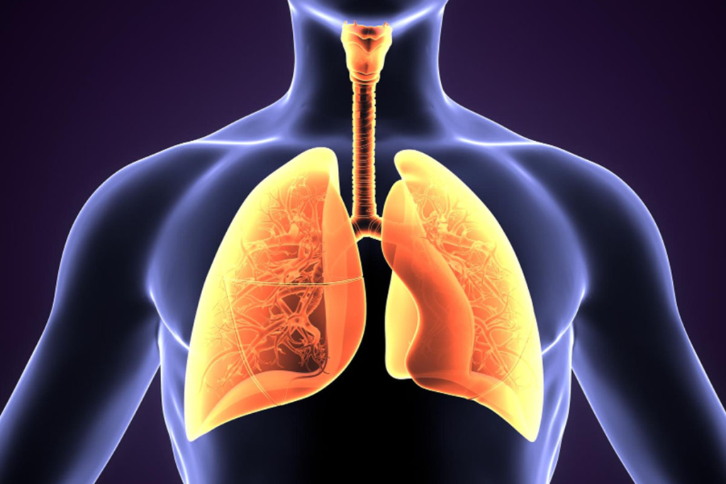 Vital: Why Doctor Order PET Scan Lungs