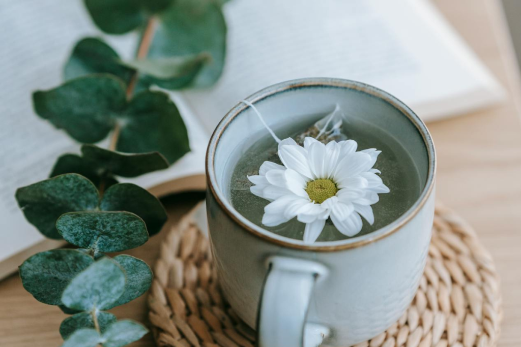 stem cell activator supplement