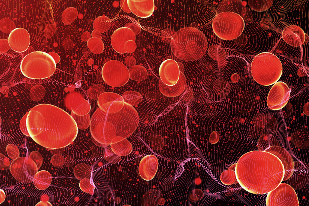 Are Cord Blood Pluripotent Stem Cells Truly Versatile?