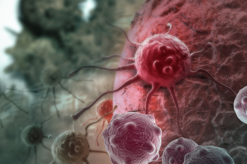 Blood Cell Formation: Understanding Hematopoiesis and Stem Cells