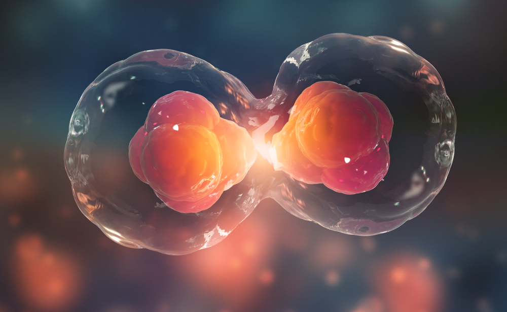 cellular regeneration 
