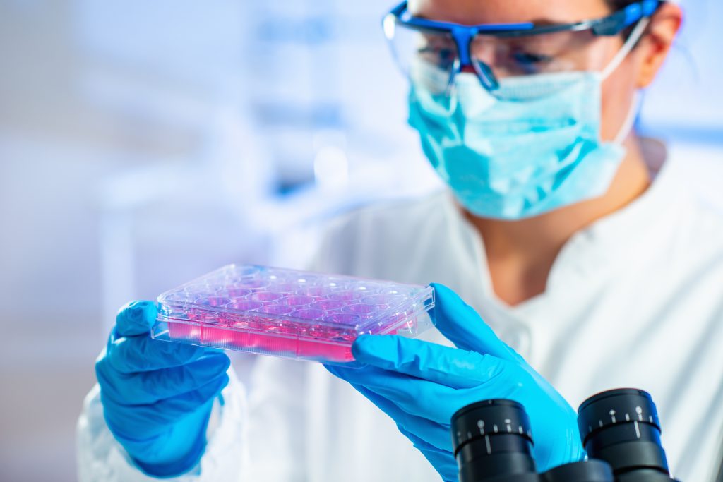 brain stem cells