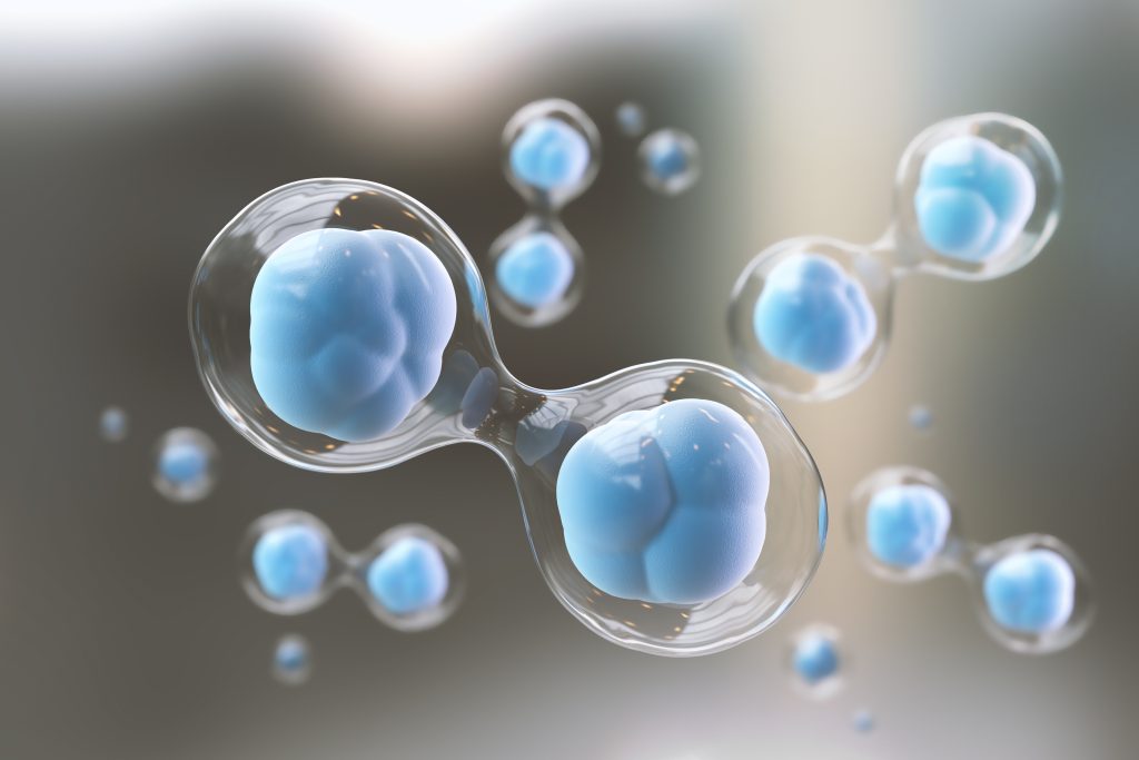 which stem cells have the most potency