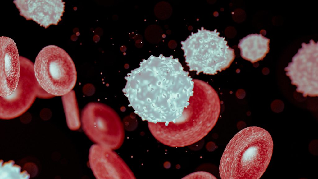 body reject a bone marrow transplant