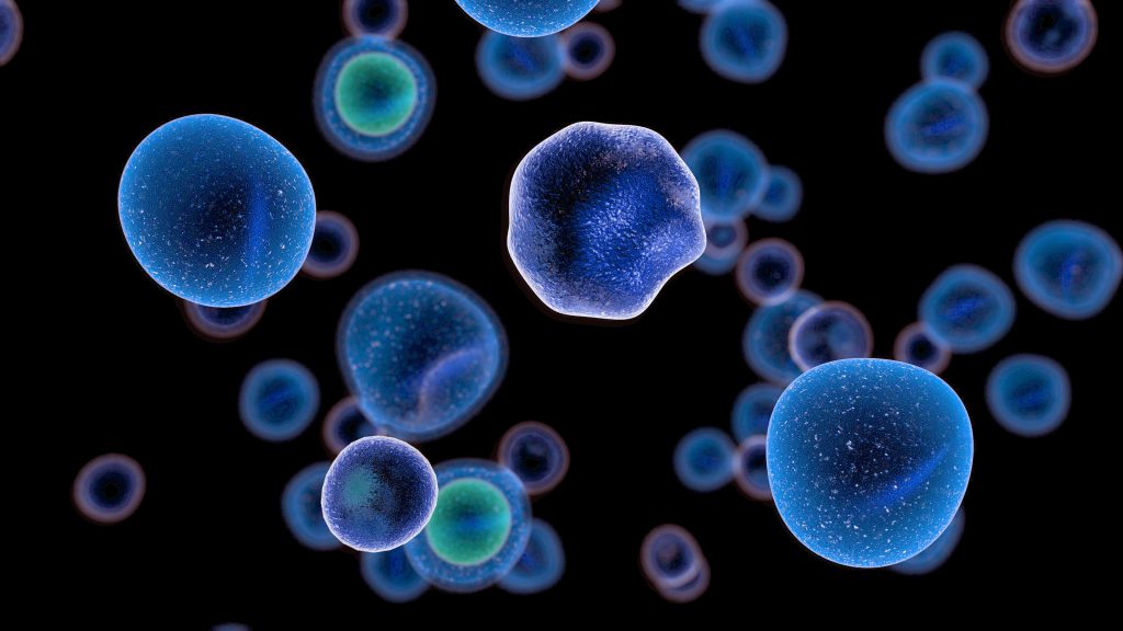 Does stem cell change your DNA