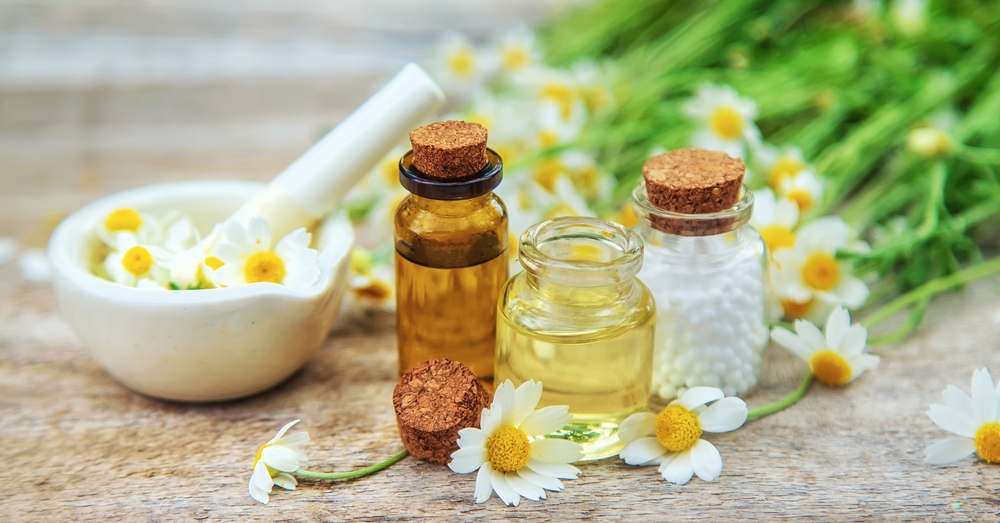 Close-up of medicinal herbs used to promote natural cell regeneration and stem cell activity