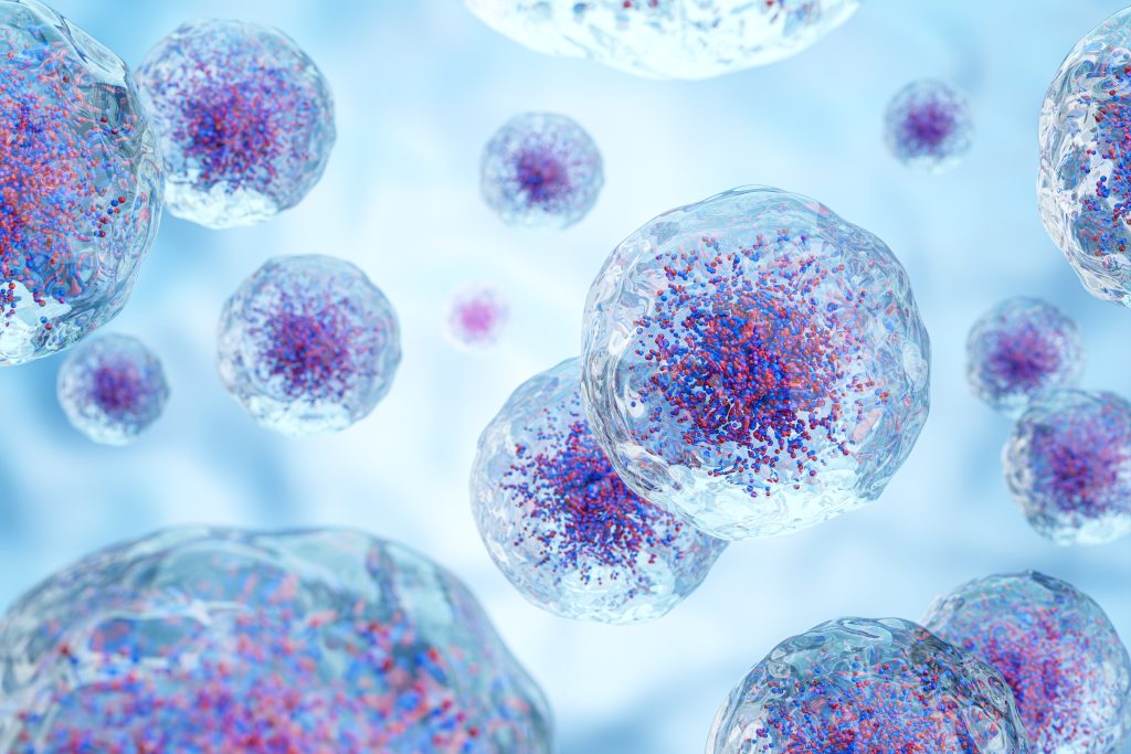 hematopoietic stem cells