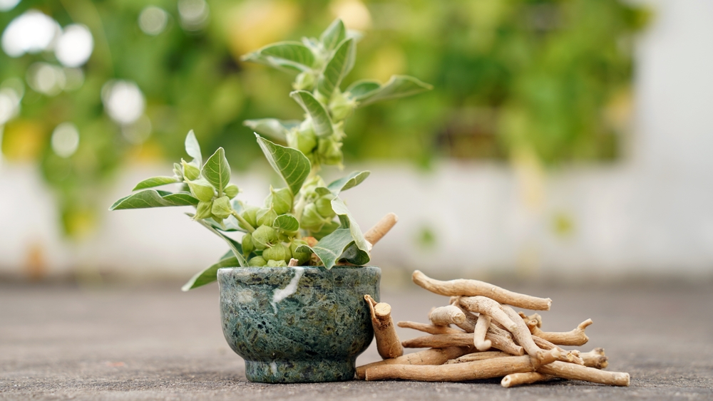 Ashwagandha supplements promoting regeneration and anti-inflammatory effects.
