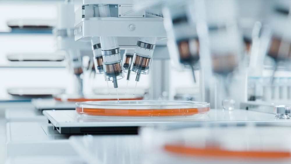 Types of Stem Cells
