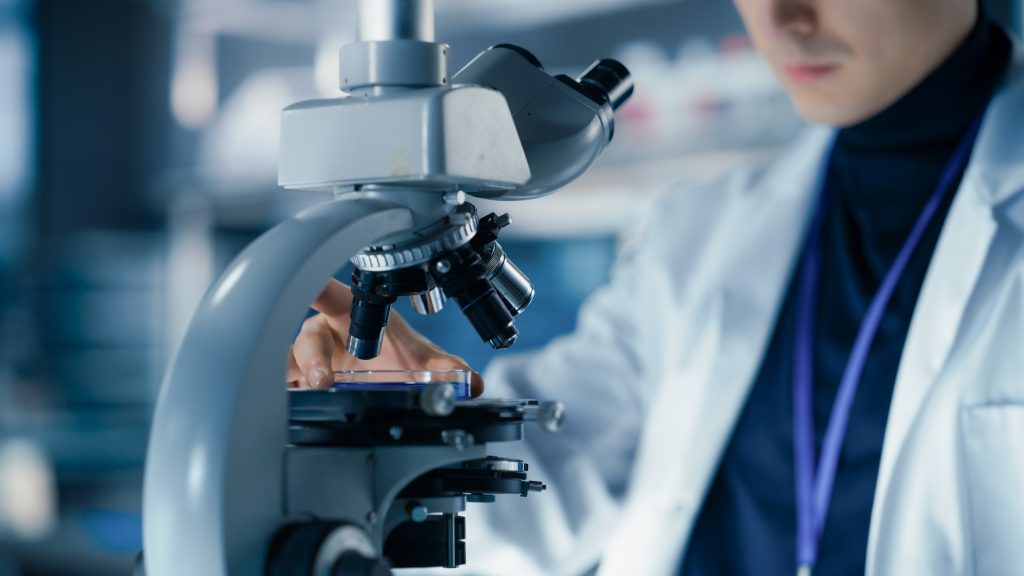 Is It Possible to Stimulate Stem Cells? How to Increase Stem Cells Naturally