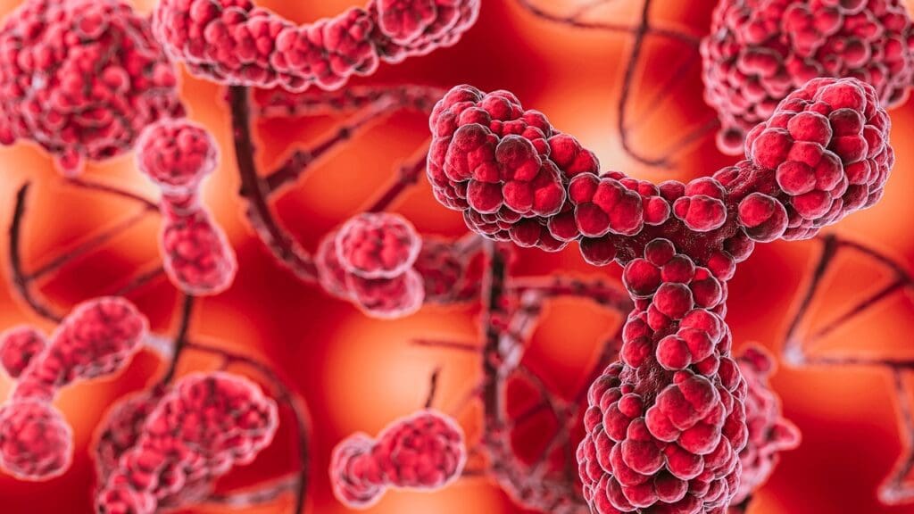 7 Key Facts About Large B Cell Lymphomas and Subtypes 7 Key Facts About Large B Cell Lymphomas and Subtypes