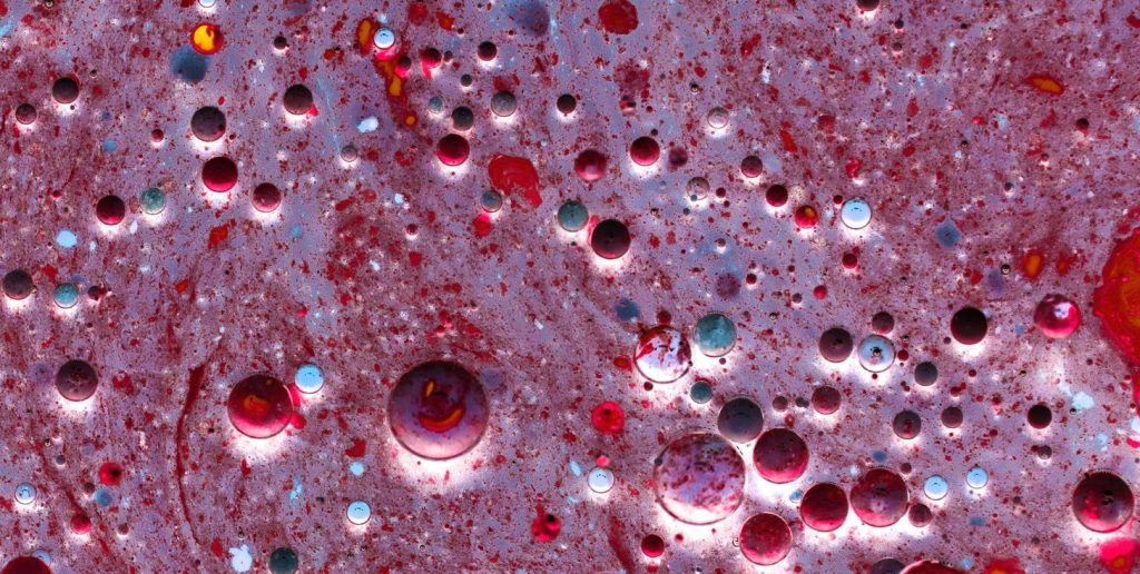 A close-up view of hematopoietic stem cells under a microscope A close-up view of hematopoietic stem cells under a microscope