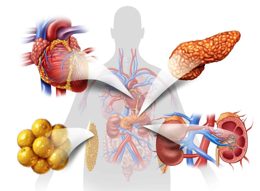 A detailed anatomical illustration showcasing various medical terms and symbols related to self-derived treatments