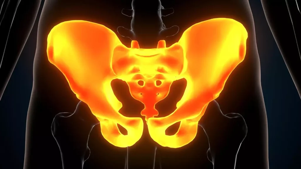 A detailed cross-section illustration of the different types of bone marrow, including yellow marrow, red marrow, and spongy bone. The image should be rendered in a clean, scientific style with crisp lines, high contrast, and a neutral color palette. The focus should be on clearly depicting the distinct anatomical structures and compositions of the various marrow types, allowing the viewer to understand the nuanced differences between them. The lighting should be bright and even, with a slight top-down directional quality to enhance the sense of depth and three-dimensionality. The camera angle should be slightly elevated to provide a comprehensive, panoramic view of the bone marrow structures.