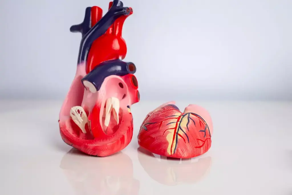A detailed cross-section of a human heart valve, showcasing the intricate structure and mechanism of a diseased valve. Rendered in a clinical, technical style with high fidelity and anatomical precision. The foreground depicts the valve leaflets, annulus, and surrounding cardiac tissue, with a focus on the thickening, calcification, and impaired mobility characteristic of valvular dysfunction. The middle ground reveals the heart's chambers and major blood vessels, providing context. The background features a muted, monochromatic palette with subtle lighting to emphasize the medical subject matter. The overall composition conveys a sense of clinical examination and understanding of the pathological condition. A detailed cross-section of a human heart valve, showcasing the intricate structure and mechanism of a diseased valve. Rendered in a clinical, technical style with high fidelity and anatomical precision. The foreground depicts the valve leaflets, annulus, and surrounding cardiac tissue, with a focus on the thickening, calcification, and impaired mobility characteristic of valvular dysfunction. The middle ground reveals the heart's chambers and major blood vessels, providing context. The background features a muted, monochromatic palette with subtle lighting to emphasize the medical subject matter. The overall composition conveys a sense of clinical examination and understanding of the pathological condition.