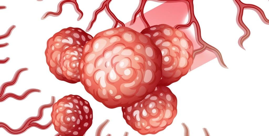 A detailed cross-section of hematopoietic tissue, revealing its intricate cellular architecture A detailed cross-section of hematopoietic tissue, revealing its intricate cellular architecture