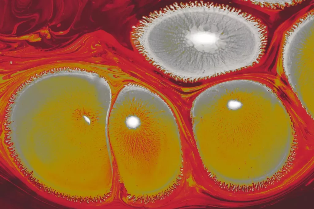 A detailed cross-section of human bone marrow, bathed in warm, natural lighting. The marrow is rendered in vivid detail, showcasing the intricate network of blood vessels, fat cells, and hematopoietic stem cells responsible for producing new blood cells. The surrounding bone structure is depicted with anatomical precision, highlighting the critical role of the skeletal system in housing and protecting this vital organ. The overall scene conveys a sense of scientific inquiry and the fundamental nature of the human body's hematopoietic system.