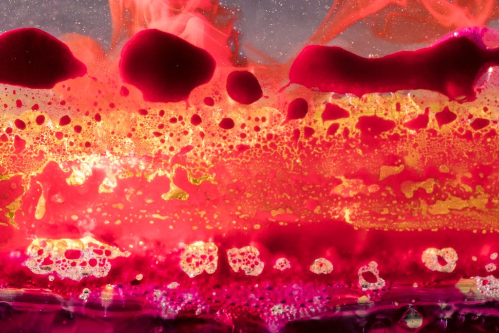A detailed cross-section of the internal structure of bone marrow, illuminated by soft, diffuse lighting that accentuates the intricate network of hematopoietic cells, adipose tissue, and bony trabeculae. The image captures the dynamic interplay between the various components, showcasing the fundamental role of bone marrow in the production of blood cells. Rendered with a high degree of anatomical accuracy and scientific precision, the image provides a visually compelling representation of the "Fundamentals of Bone Marrow" for the article.