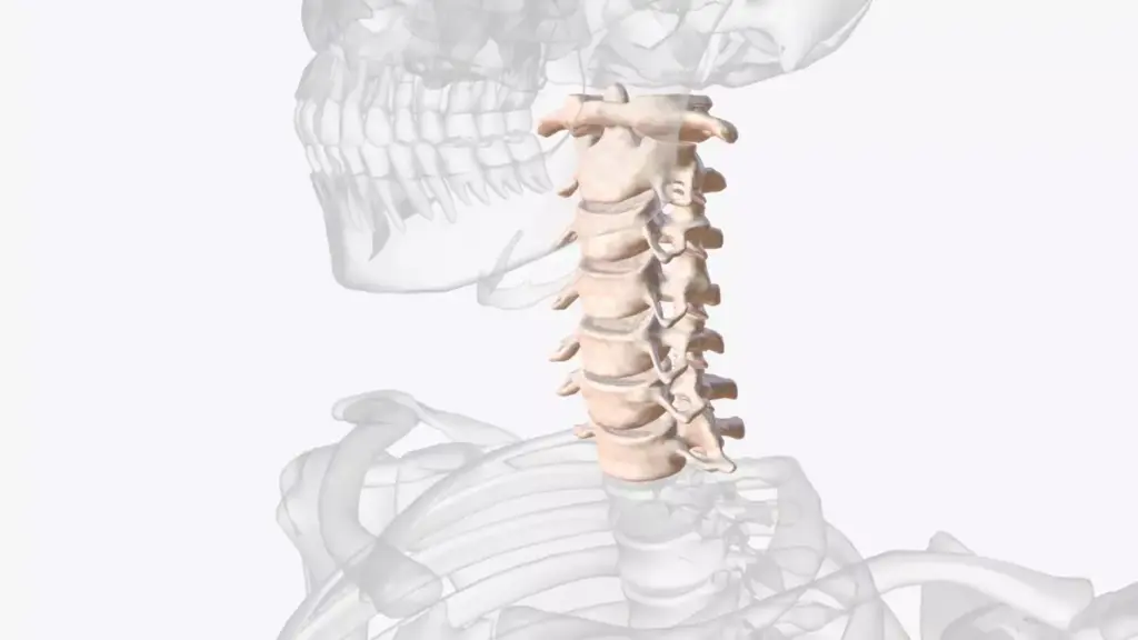 A detailed, high-resolution 3D render of a human cervical spine, featuring a surgical fusion procedure. The spine is displayed in the foreground, with a clean, stark white background. Visible anatomical structures include the vertebrae, discs, and spinal cord. The fusion hardware, such as plates and screws, are clearly visible, illustrating the surgical intervention. The lighting is crisp and evenly distributed, creating depth and highlighting the intricate spinal anatomy. The camera angle is slightly elevated, providing an informative, technical view of the cervical spine fusion. The overall mood is clinical, educational, and focused on conveying the key details of the medical procedure. A detailed, high-resolution 3D render of a human cervical spine, featuring a surgical fusion procedure. The spine is displayed in the foreground, with a clean, stark white background. Visible anatomical structures include the vertebrae, discs, and spinal cord. The fusion hardware, such as plates and screws, are clearly visible, illustrating the surgical intervention. The lighting is crisp and evenly distributed, creating depth and highlighting the intricate spinal anatomy. The camera angle is slightly elevated, providing an informative, technical view of the cervical spine fusion. The overall mood is clinical, educational, and focused on conveying the key details of the medical procedure.