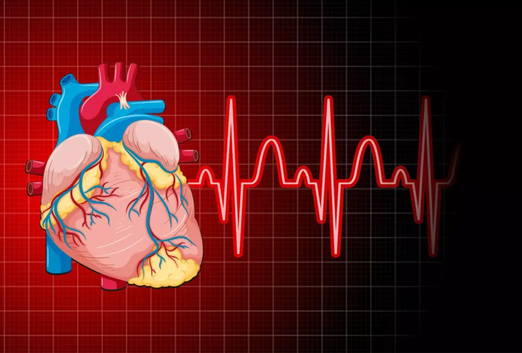 A detailed illustration of atrial fibrillation, a common heart rhythm disorder. In the foreground, a stylized representation of the human heart, with the atria highlighted and pulsing erratically. The middle ground showcases a cross-section of the heart, revealing the intricate structure of the atria and ventricles. In the background, a soft, hazy medical diagram or schematic, providing context and technical details about the condition. Subtle lighting casts a warm, clinical glow, conveying a sense of scientific understanding and medical expertise. The overall composition aims to educate and inform, with a focus on clearly depicting the meaning and characteristics of atrial fibrillation.