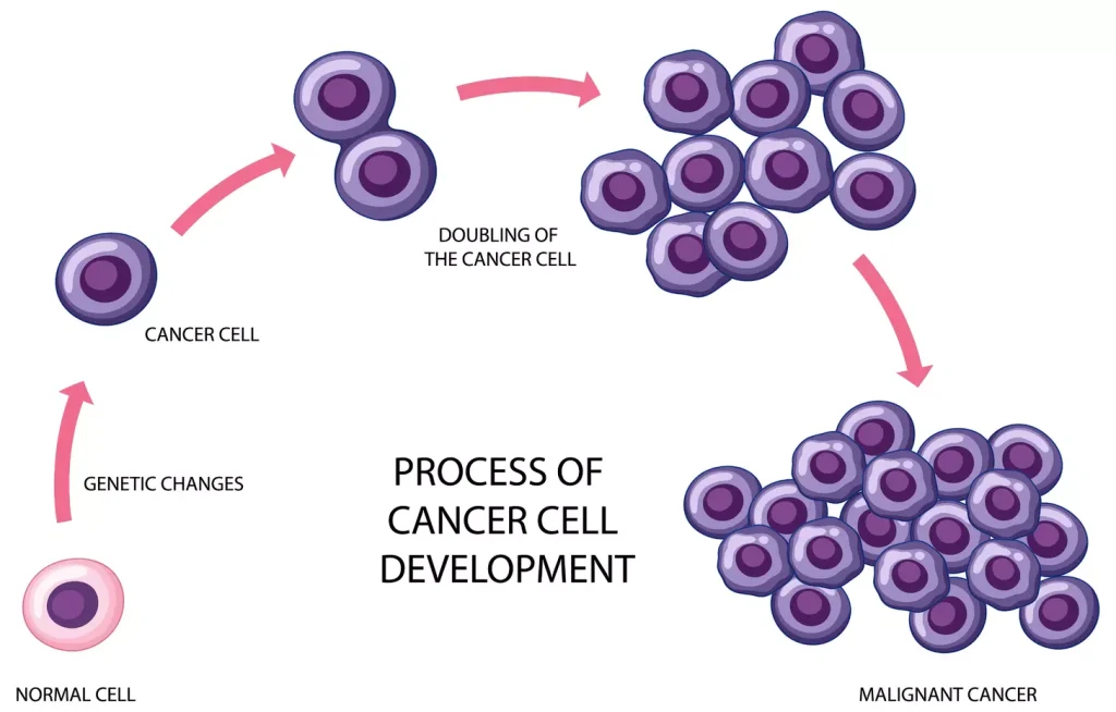 A detailed illustration of the CAR T cell creation process, showcasing the genetic modification of T cells to equip them with special cancer-fighting abilities. In the foreground, a group of T cells are depicted undergoing genetic engineering, with the introduction of the chimeric antigen receptor (CAR) visible. The middle ground features a scientific laboratory setting, complete with equipment and glassware, creating a sense of technical precision. In the background, a softly lit backdrop of cellular structures and molecular diagrams provides context, highlighting the scientific complexity of the process. The overall scene conveys a sense of scientific innovation and the dedication required to develop these revolutionary cancer treatments. A detailed illustration of the CAR T cell creation process, showcasing the genetic modification of T cells to equip them with special cancer-fighting abilities. In the foreground, a group of T cells are depicted undergoing genetic engineering, with the introduction of the chimeric antigen receptor (CAR) visible. The middle ground features a scientific laboratory setting, complete with equipment and glassware, creating a sense of technical precision. In the background, a softly lit backdrop of cellular structures and molecular diagrams provides context, highlighting the scientific complexity of the process. The overall scene conveys a sense of scientific innovation and the dedication required to develop these revolutionary cancer treatments.