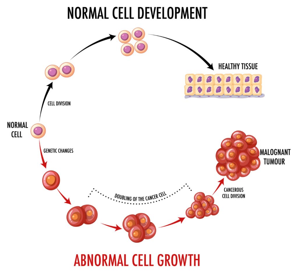 A high-resolution, detailed illustration showcasing the distribution of hematopoietic stem cells throughout the human body A high-resolution, detailed illustration showcasing the distribution of hematopoietic stem cells throughout the human body