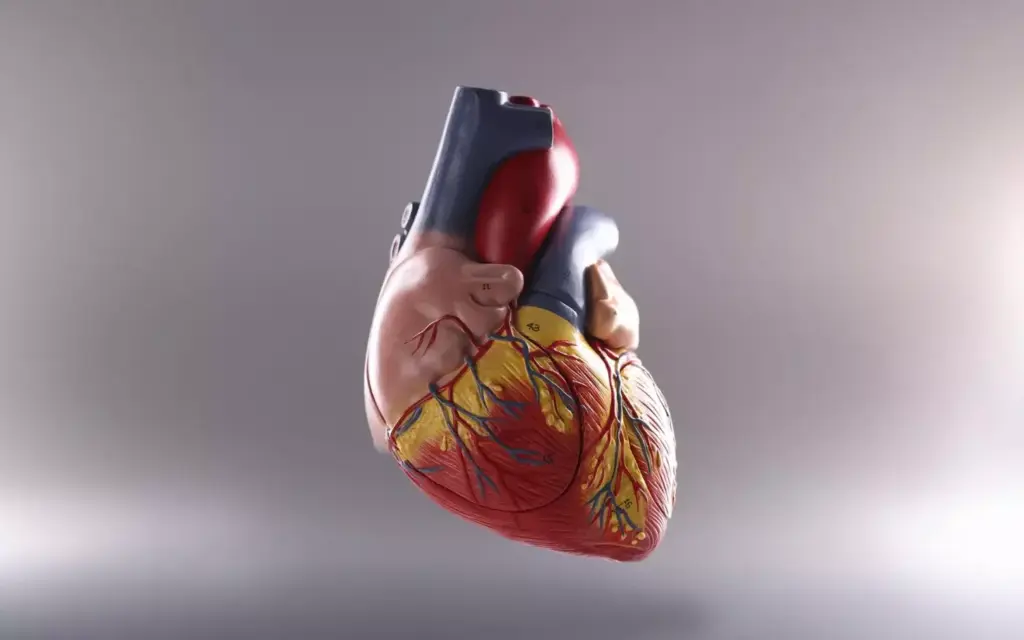 A high-resolution, detailed medical illustration depicting the evolution of heart valve replacement procedures. Showcase a sequence of different surgical techniques, from traditional open-heart surgery to minimally invasive transcatheter approaches. Capture the intricate anatomical structures of the heart, with a focus on the valve mechanisms. Use a cool, clinical color palette and crisp, technical lighting to convey a sense of medical expertise and professionalism. Frame the illustrations with a clean, white background to make the procedures the central focal point. Depict the procedures with precision, clarity, and a strong sense of depth, allowing the viewer to appreciate the complexity and advancement of these life-saving interventions. A high-resolution, detailed medical illustration depicting the evolution of heart valve replacement procedures. Showcase a sequence of different surgical techniques, from traditional open-heart surgery to minimally invasive transcatheter approaches. Capture the intricate anatomical structures of the heart, with a focus on the valve mechanisms. Use a cool, clinical color palette and crisp, technical lighting to convey a sense of medical expertise and professionalism. Frame the illustrations with a clean, white background to make the procedures the central focal point. Depict the procedures with precision, clarity, and a strong sense of depth, allowing the viewer to appreciate the complexity and advancement of these life-saving interventions.