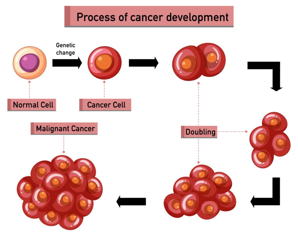An intricate illustration of myeloid hemopoiesis, the foundation of blood cell production An intricate illustration of myeloid hemopoiesis, the foundation of blood cell production