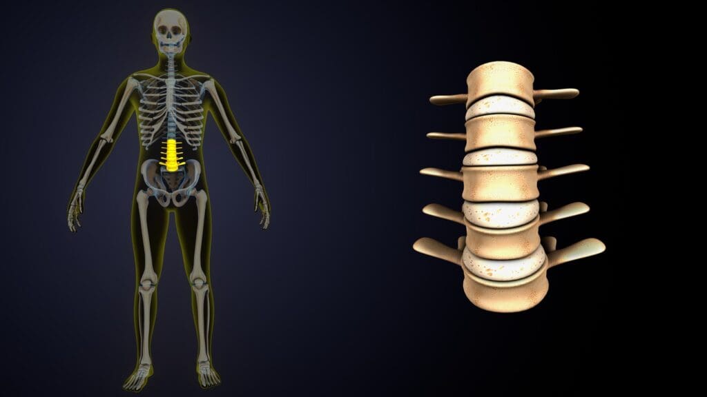 C1 C7 Coil Designs C1 C7 Coil Designs