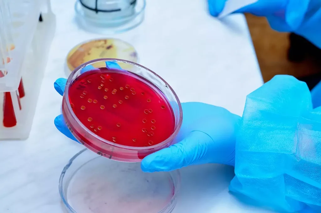 Hematopoietic System