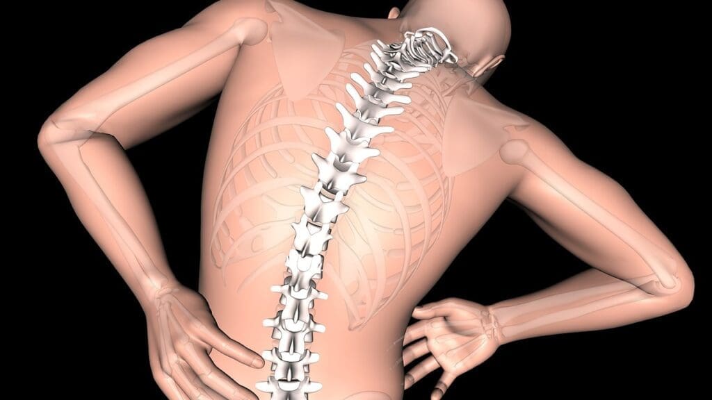 Herniated Discs and Mobility Herniated Discs and Mobility