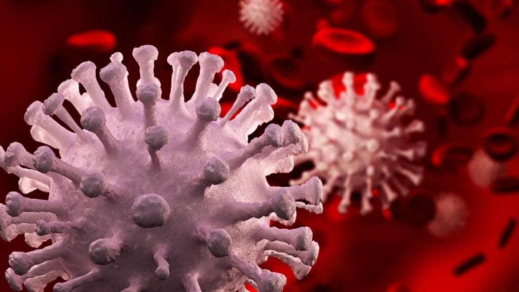 Leukemia as a Blood Cancer Leukemia as a Blood Cancer