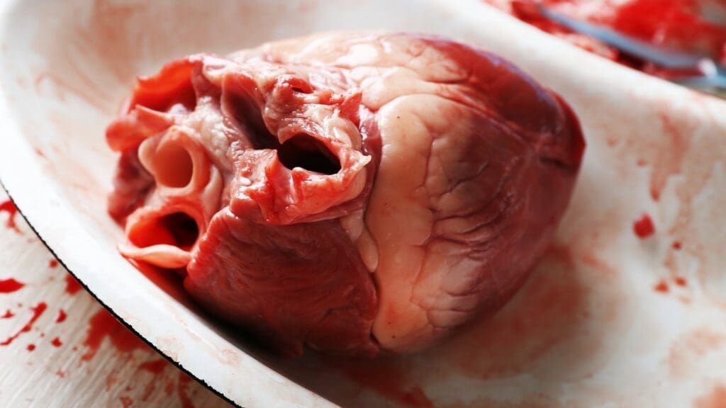 Physiology of Brady Tachycardia Physiology of Brady Tachycardia