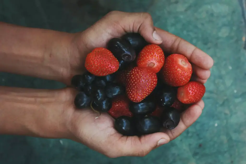 Powerful Antioxidant Defenders