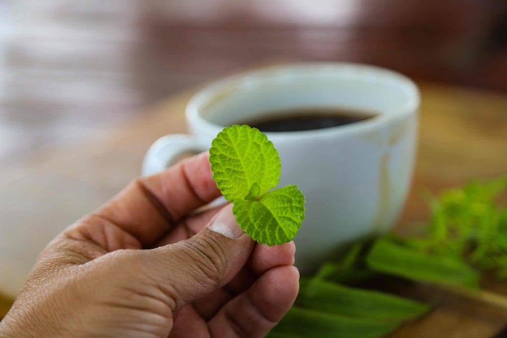 Science Behind Green Tea and Cancer Prevention Science Behind Green Tea and Cancer Prevention