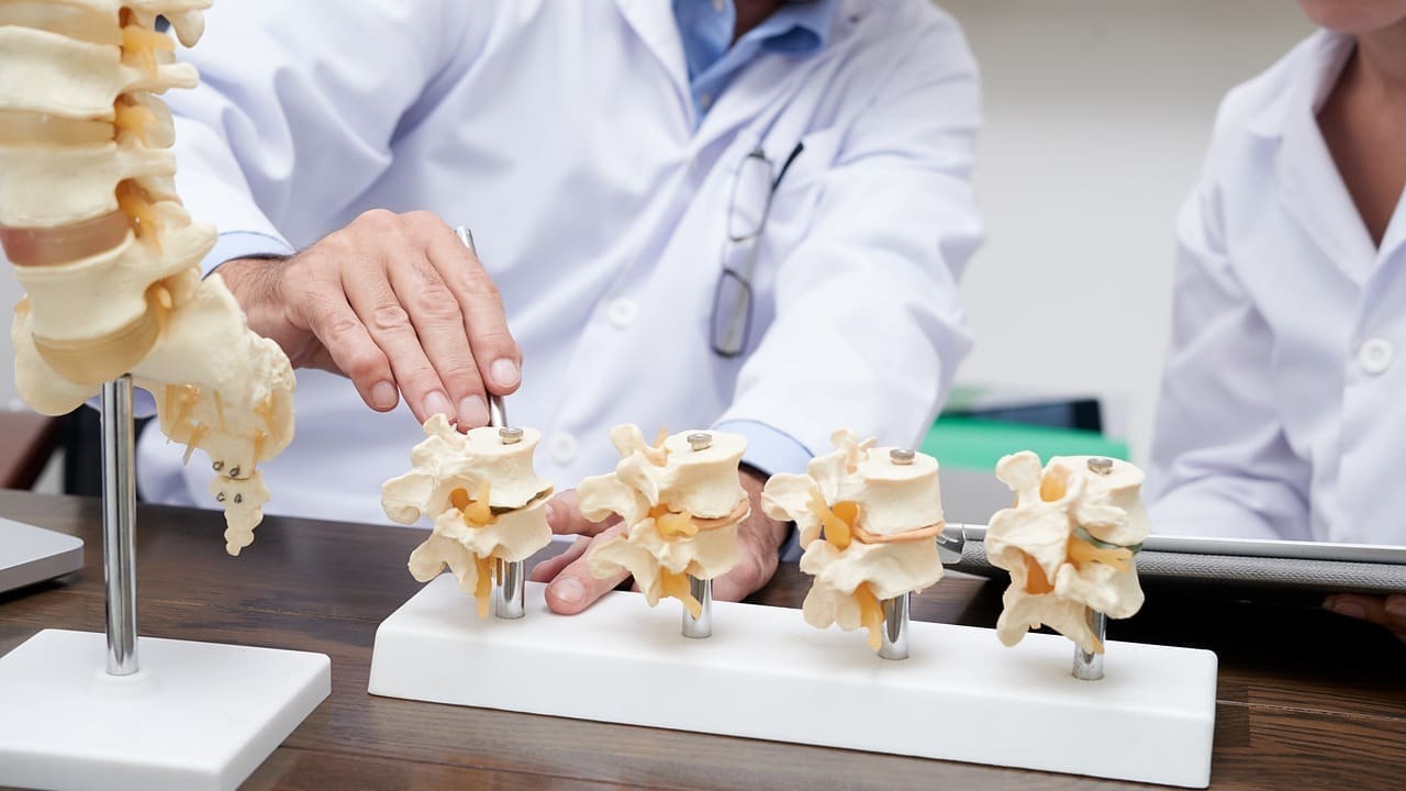 Spinal Cord Injury Levels Explained: 8 Key Types and Functional Differences